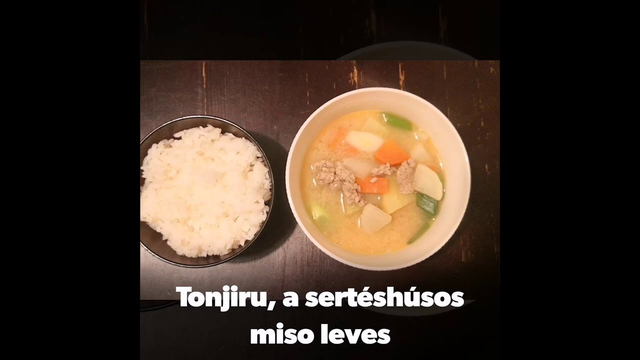 Tonjiru Lion