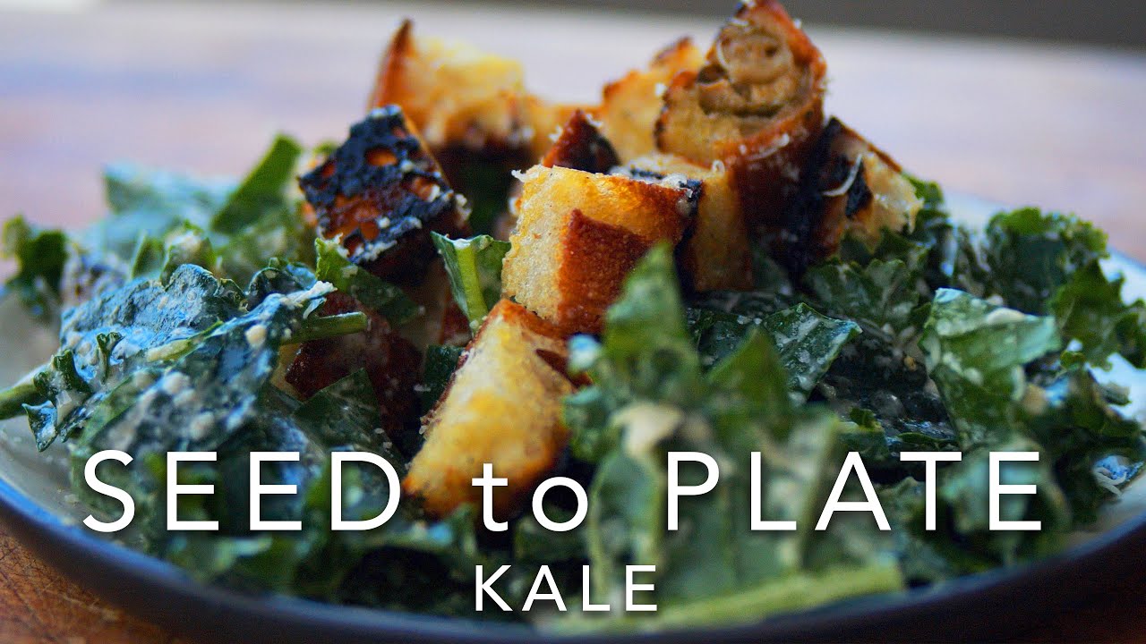 Seed to Plate - Kale E6