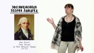 видео Цикл лекций. Фестиваль «Оттепель: лицом к будущему» / Музей Москвы