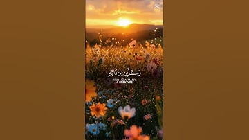 القرآن الكريم تلاوة عبد الرحمن مسعد مؤثرة جدا. أحب آيات القرآن. ✨🍂 🇸🇩
