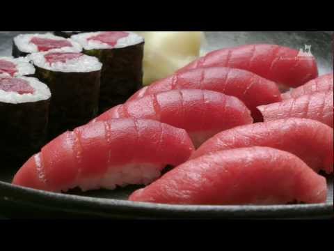 大間マグロ料理 - マグロ握り - 0221A