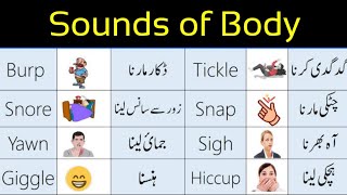 English Learning! Sounds of Your Body