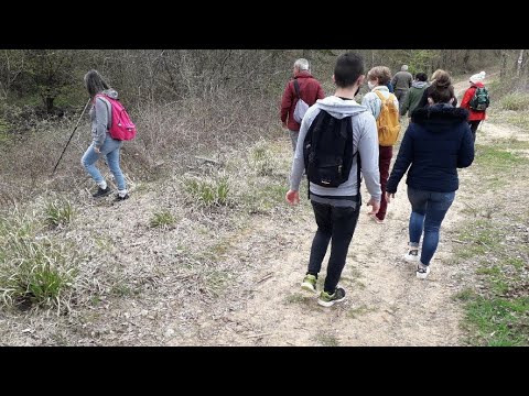 Disparition de Delphine