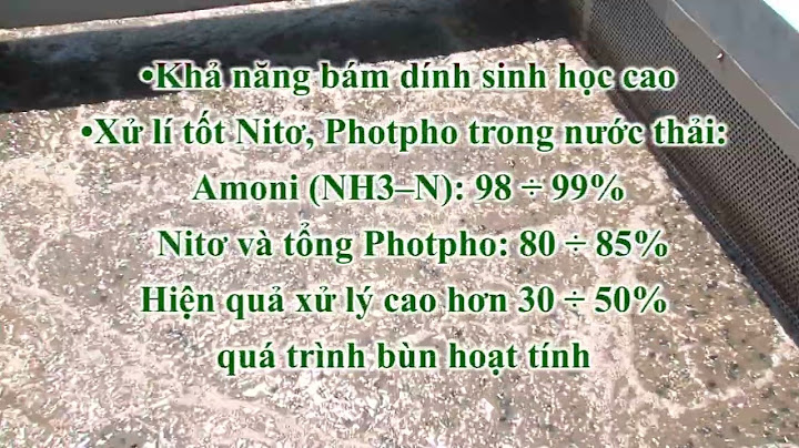 Phương án xử lý photpho nước thải thủy sản