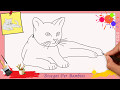 Disegni Colorare Gatto