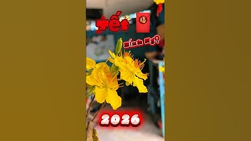 Tết 🧧 Nguyên Đán Chỉ Vỏn Vẹn 73 Ngày Nửa #tet2026 #angiang #tanchauangiangtv #phamvanlamag