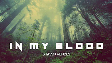 Shawn Mendes - In My Blood (Official Music Video)
