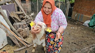 BACIMDAN GÜZEL HABERLER GELDİ ÇOK MUTLUYUZ MİSAFİRLERİM DE VAR