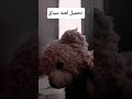 تحميل اغنيه تامر عاشور اغنيه