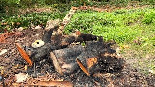 Weirdest Woodworking Ever // Creates A Round Coffee Table With A Burnt Tree Stump