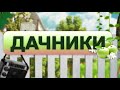 Дачники // 30.04.21