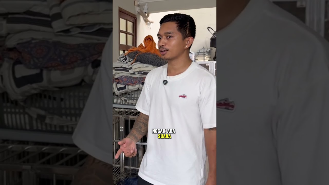 40 ekor lebih anjing dan kucing hasil rescue