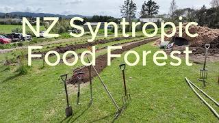 From Bare Land to Thriving Food Forest in 6 Months | Northland, NZ