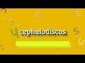 How to say "cephalodiscus"! (High Quality Voices)