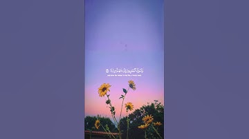 ارح سمعك و قلبك 🤍 قرآن كريم 🤍 اكتب شيئا تؤجر عليه 🤍
