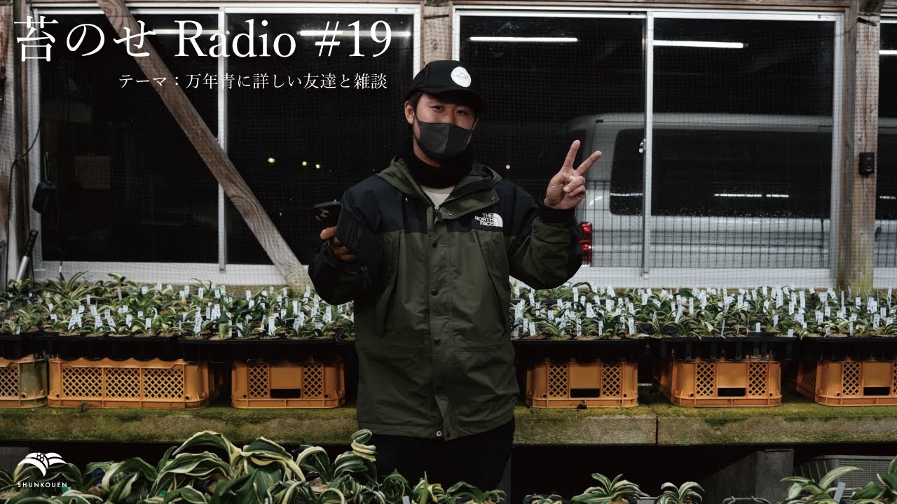 苔のせRadio #19 テーマ : 万年青に詳しい友達と雑談