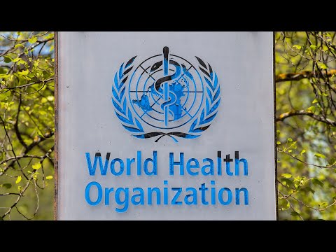 World Health Organization says it won't abandon search for origins of COVID-19 virus