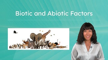 Biotic and Abiotic Factors - How These Factors Influence Ecosystems