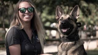 Highland Canine Training - Self Made TV