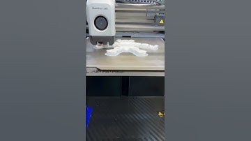 Satisfying timelapse of Flexi Panda by FlexiFactory #asmr #3dprint