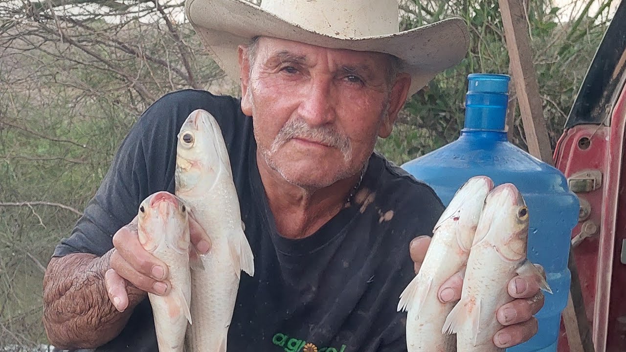 hoy nos fue vien en la pesca y cocinamos en el manglar