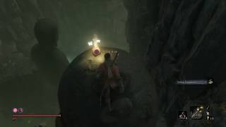 Sekiro: Shadows Die Twice - Getting Prayer Bead in Poison Pool