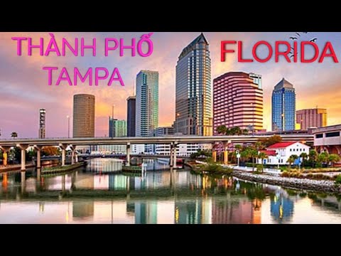 Video: Nhiệt độ trung bình và lượng mưa ở Tampa, Florida