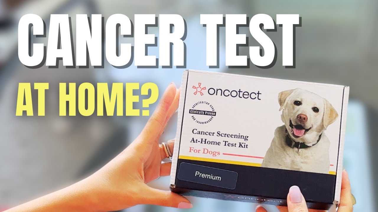 Early Detection of Cancer in Dogs | Vet Explains