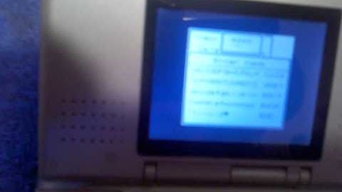 Nintendo DS Action Replay DSI Homebrew Demo part2