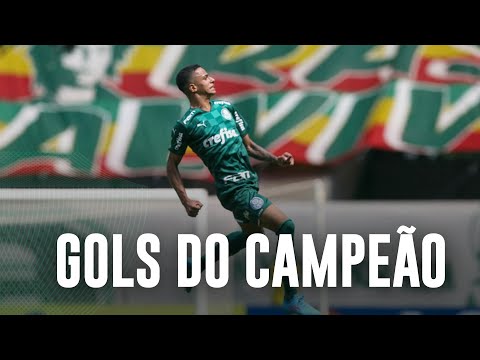 GOLS DO CAMPEÃO | PALMEIRAS 4 X 0 SANTOS | COPINHA 2022