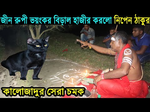 ভয়ংকর জীন রুপী কালো বিড়াল হাজীর করে একি চরম বিপদে তান্ত্রিক নিপেন ঠাকুর !! Ghost Hunter,Paranormal