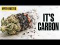 White Ash vs Black Ash: What It Actually Means (Not Flushing)