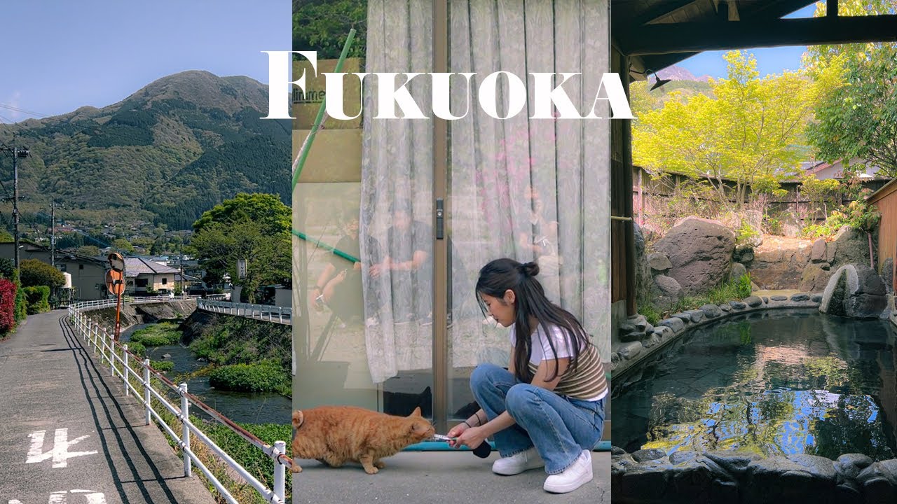 Vlog. 후쿠오카만 세번째 여행인 3박4일 돼지런한 여행/유후인 당일치기/누루카와 온천/다자이후/코히샤 노다/카페 델  솔/와카바/키와미야/토리카와 스이쿄우/몬탄 하카타