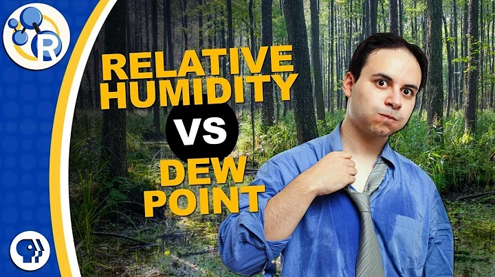 Why Does Humidity Feel Gross? - DayDayNews