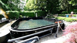 Modern Koi Blog #2564 - A 90,000 liter sturgeon pond built by Genesis