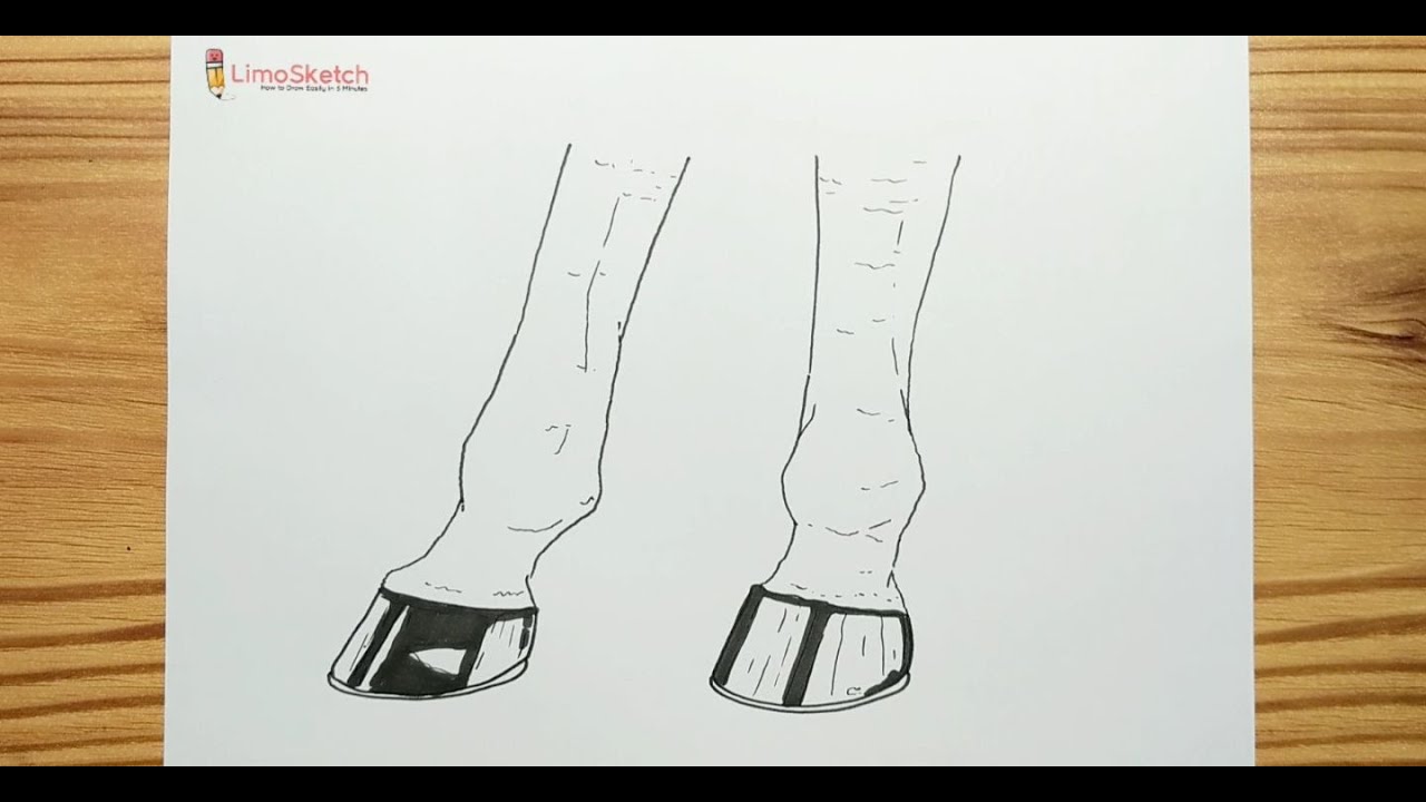 HOW TO DRAWING HORSE FEET YouTube