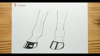 HOW TO DRAWING HORSE FEET