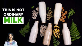 How To Make Plant Based Milk | Vegan Milk | Walnut | Quinoa | Pumpkin | Sunflower | Yellow Split Pea