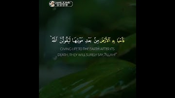 جزء من سورة العنكبوت / تلاوة عذبة للقارئ يونس الدوسكي