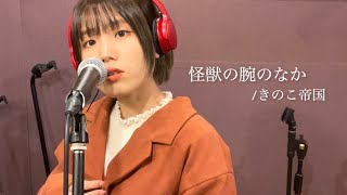 【Full Cover】怪獣の腕のなか / きのこ帝国 【灯橙あか】