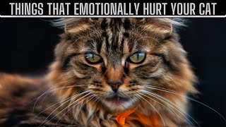 16 THINGS THAT EMOTIONALLY HURT YOUR CAT & How to Avoid Them by Adventurezoo 1,003 views 1 month ago 4 minutes, 27 seconds