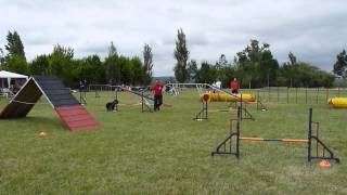 Hugo and Kissy - 4ª Portuguese Final A3 - Agility