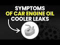 Car Engine Oil Cooler Leaks: Causes And Symptoms To Know About