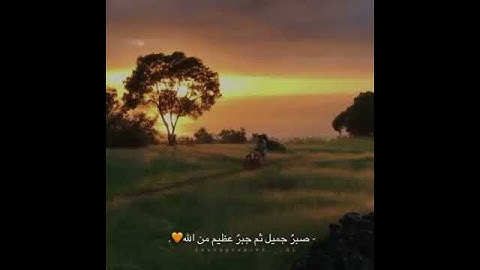 اسلام صبحي - تلاوة جميلة | حالات واتساب دينية | حالات قرآن