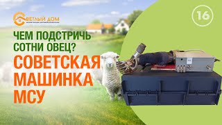 Обзор машинки для стрижки овец МСУ. Советская машинка для стрижки овец. Где купить машинку МСУ?