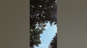 سورة لقمان القارئ/ ناصر القطامي