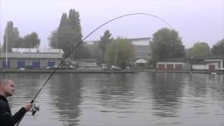 Tackle Fanatics TV - Team Daiwa Feeder Quiver Rod