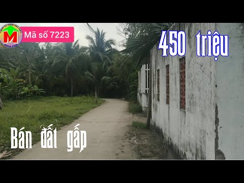 Video Bán đất nền ở TP Mỹ Tho, giá 450 triệu - MS 7223 - youtube