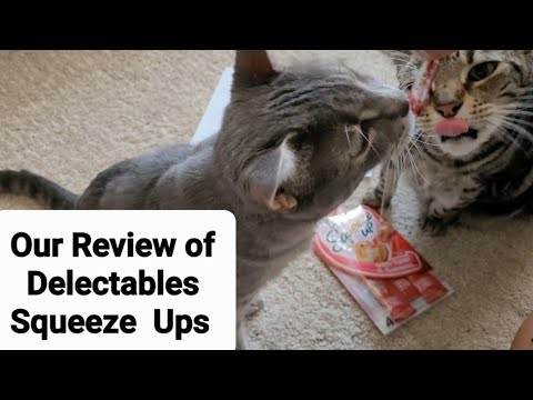 Cat Review: Delectables Squeeze Up Cat Treats - see description for full review