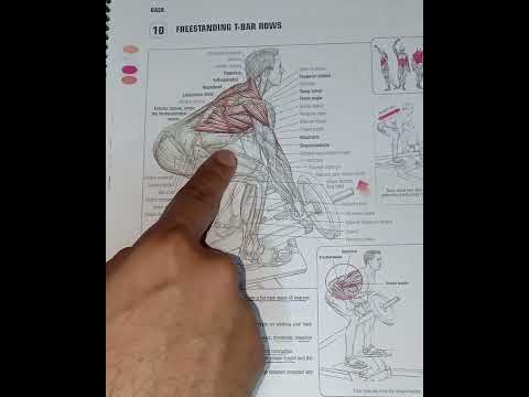 تمارين للظهر و كيفية استهداف عضلاتها